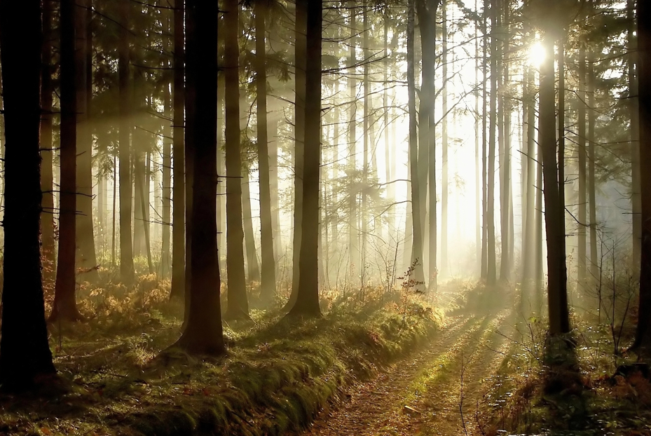 productivity culture